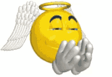 Imagem_0031.gif